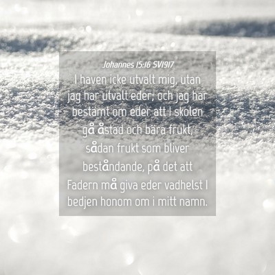 Picture 04 - Johannes 15:16 SV1917 - I haven icke utvalt mig, utan jag har utvalt - Bible Verse Picture
