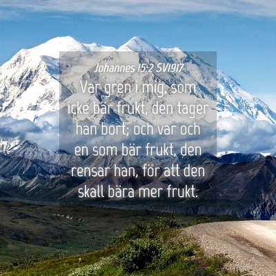 Picture 04 - Johannes 15:2 SV1917 - Var gren i mig, som icke bär frukt, den tager - Bible Verse Picture