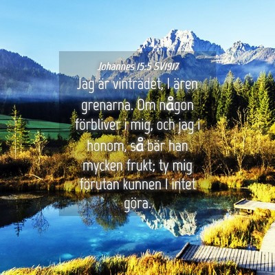 Picture 04 - Johannes 15:5 SV1917 - Jag är vinträdet, I ären grenarna. Om någon - Bible Verse Picture