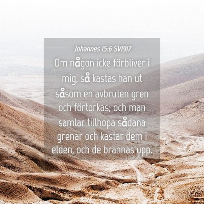 Picture 04 - Johannes 15:6 SV1917 - Om någon icke förbliver i mig, så kastas han - Bible Verse Picture