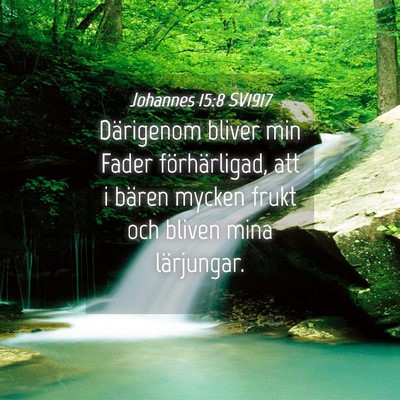 Picture 04 - Johannes 15:8 SV1917 - Därigenom bliver min Fader förhärligad, att i - Bible Verse Picture