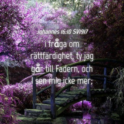 Picture 04 - Johannes 16:10 SV1917 - i fråga om rättfärdighet, ty jag går till - Bible Verse Picture