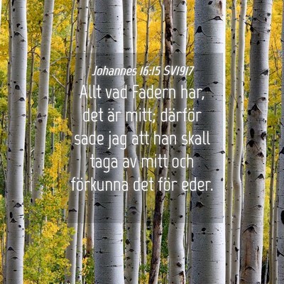 Picture 04 - Johannes 16:15 SV1917 - Allt vad Fadern har, det är mitt; därför sade - Bible Verse Picture