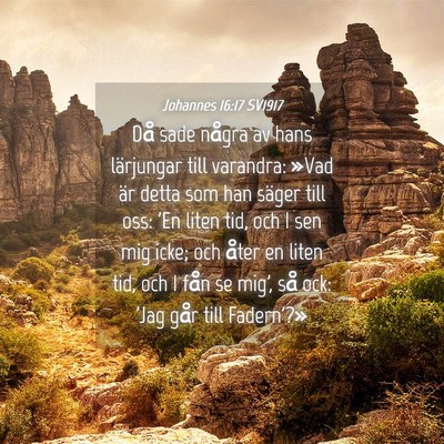 Picture 04 - Johannes 16:17 SV1917 - Då sade några av hans lärjungar till varandra: - Bible Verse Picture