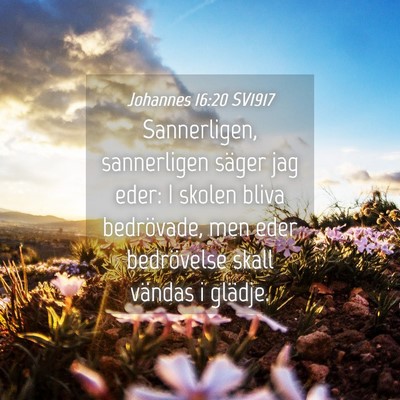 Picture 04 - Johannes 16:20 SV1917 - Sannerligen, sannerligen säger jag eder: I - Bible Verse Picture