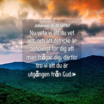 Picture 04 - Johannes 16:30 SV1917 - Nu veta vi att du vet allt, och att det icke är - Bible Verse Picture