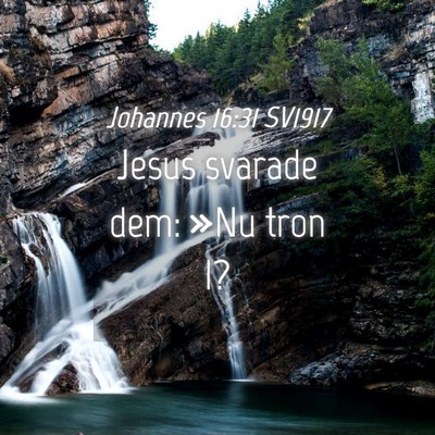 Picture 04 - Johannes 16:31 SV1917 - Jesus svarade dem: »Nu tron - Bible Verse Picture