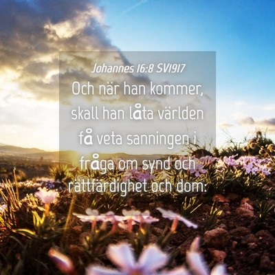 Picture 04 - Johannes 16:8 SV1917 - Och när han kommer, skall han låta världen få - Bible Verse Picture