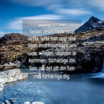 Picture 04 - Johannes 17:1 SV1917 - Sedan Jesus hade talat detta, lyfte han upp sina - Bible Verse Picture