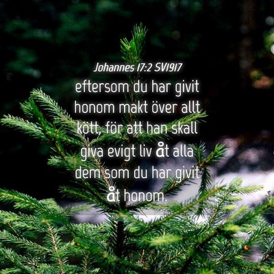 Picture 04 - Johannes 17:2 SV1917 - eftersom du har givit honom makt över allt - Bible Verse Picture