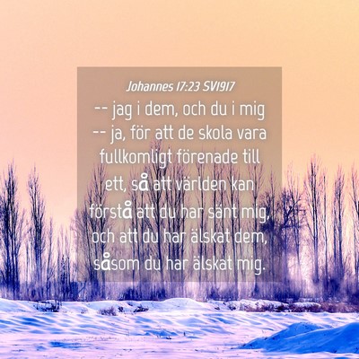 Picture 04 - Johannes 17:23 SV1917 - -- jag i dem, och du i mig -- ja, för att de - Bible Verse Picture