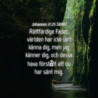 Picture 04 - Johannes 17:25 SV1917 - Rättfärdige Fader, världen har icke lärt - Bible Verse Picture