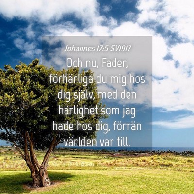 Picture 04 - Johannes 17:5 SV1917 - Och nu, Fader, förhärliga du mig hos dig - Bible Verse Picture