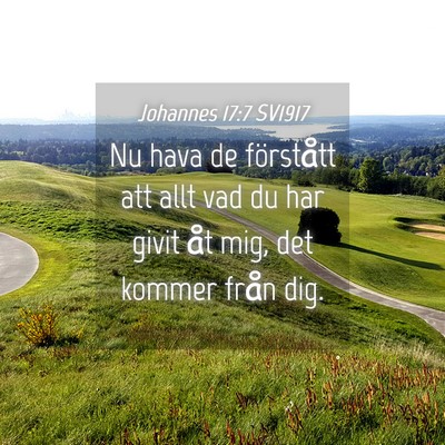 Picture 04 - Johannes 17:7 SV1917 - Nu hava de förstått att allt vad du har givit - Bible Verse Picture