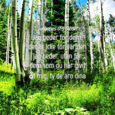 Picture 04 - Johannes 17:9 SV1917 - Jag beder för dem; det är icke för världen - Bible Verse Picture