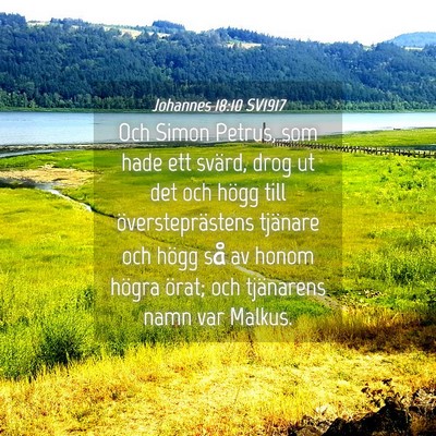 Picture 04 - Johannes 18:10 SV1917 - Och Simon Petrus, som hade ett svärd, drog ut - Bible Verse Picture