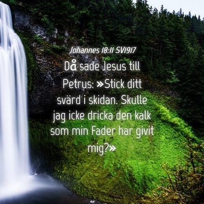 Picture 04 - Johannes 18:11 SV1917 - Då sade Jesus till Petrus: »Stick ditt svärd i - Bible Verse Picture