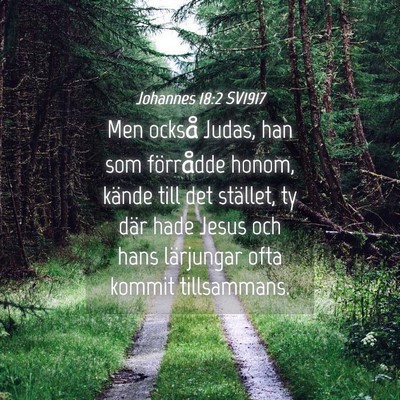 Picture 04 - Johannes 18:2 SV1917 - Men också Judas, han som förrådde honom, - Bible Verse Picture