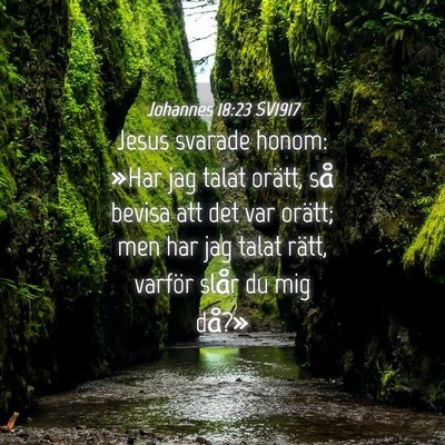 Picture 04 - Johannes 18:23 SV1917 - Jesus svarade honom: »Har jag talat orätt, så - Bible Verse Picture