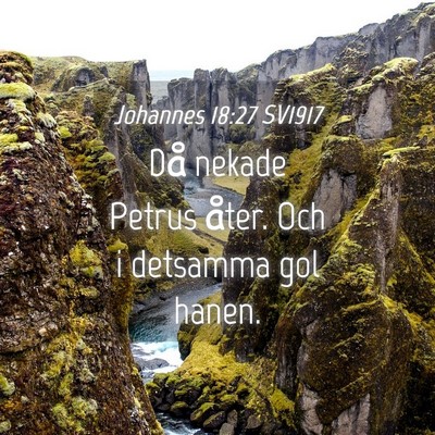 Picture 04 - Johannes 18:27 SV1917 - Då nekade Petrus åter. Och i detsamma gol - Bible Verse Picture