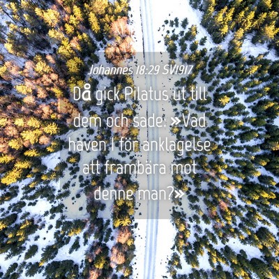 Picture 04 - Johannes 18:29 SV1917 - Då gick Pilatus ut till dem och sade: »Vad - Bible Verse Picture