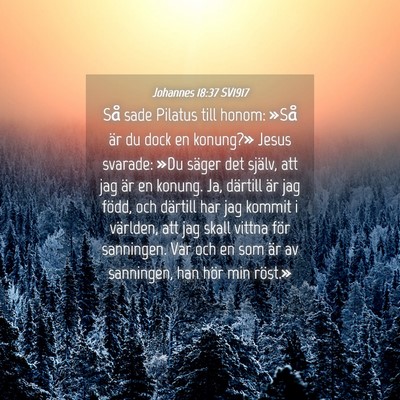 Picture 04 - Johannes 18:37 SV1917 - Så sade Pilatus till honom: »Så är du dock en - Bible Verse Picture