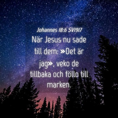 Picture 04 - Johannes 18:6 SV1917 - När Jesus nu sade till dem: »Det är jag», - Bible Verse Picture