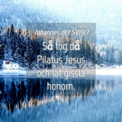 Picture 04 - Johannes 19:1 SV1917 - Så tog då Pilatus Jesus och lät gissla - Bible Verse Picture