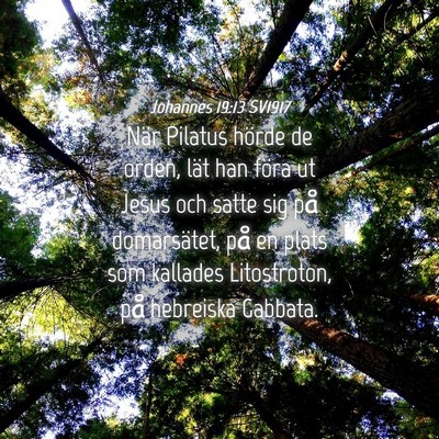 Picture 04 - Johannes 19:13 SV1917 - När Pilatus hörde de orden, lät han föra ut - Bible Verse Picture