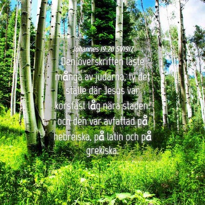 Picture 04 - Johannes 19:20 SV1917 - Den överskriften läste många av judarna, ty - Bible Verse Picture