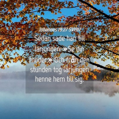 Picture 04 - Johannes 19:27 SV1917 - Sedan sade han till lärjungen: »Se din moder.» - Bible Verse Picture