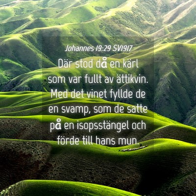 Picture 04 - Johannes 19:29 SV1917 - Där stod då en kärl som var fullt av - Bible Verse Picture