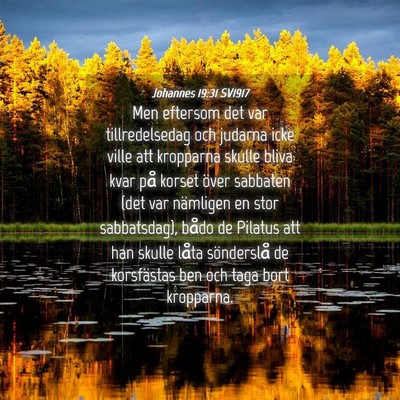 Picture 04 - Johannes 19:31 SV1917 - Men eftersom det var tillredelsedag och judarna - Bible Verse Picture