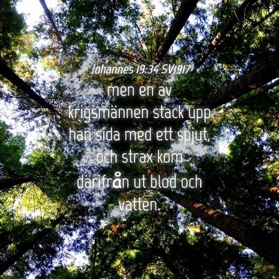 Picture 04 - Johannes 19:34 SV1917 - men en av krigsmännen stack upp han sida med ett - Bible Verse Picture