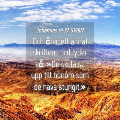 Picture 04 - Johannes 19:37 SV1917 - Och åter ett annat skriftens ord lyder så: »De - Bible Verse Picture