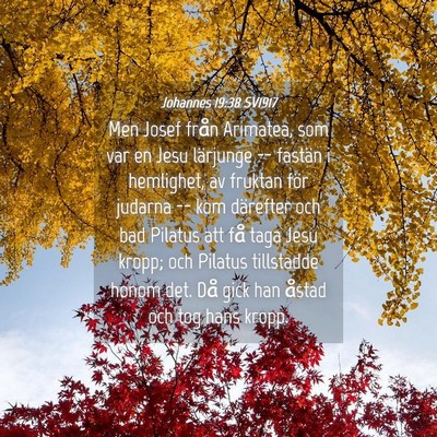 Picture 04 - Johannes 19:38 SV1917 - Men Josef från Arimatea, som var en Jesu - Bible Verse Picture