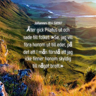Picture 04 - Johannes 19:4 SV1917 - Åter gick Pilatus ut och sade till folket: »Se, - Bible Verse Picture