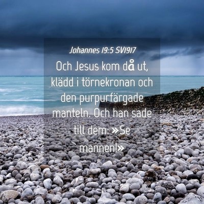 Picture 04 - Johannes 19:5 SV1917 - Och Jesus kom då ut, klädd i törnekronan och - Bible Verse Picture
