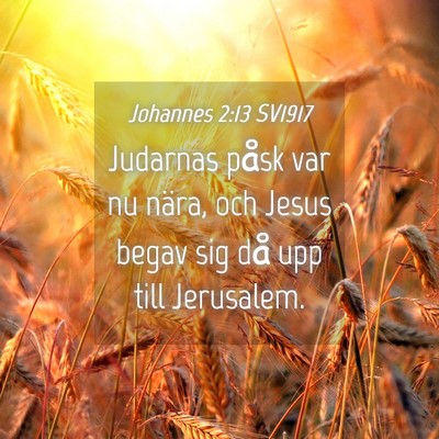 Picture 04 - Johannes 2:13 SV1917 - Judarnas påsk var nu nära, och Jesus begav sig - Bible Verse Picture
