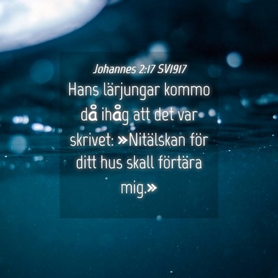 Picture 04 - Johannes 2:17 SV1917 - Hans lärjungar kommo då ihåg att det var - Bible Verse Picture