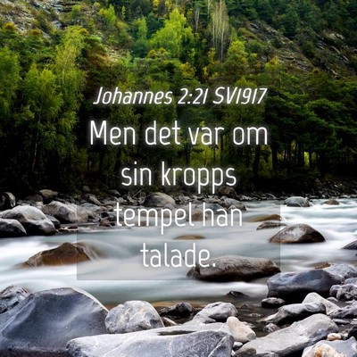 Picture 04 - Johannes 2:21 SV1917 - Men det var om sin kropps tempel han - Bible Verse Picture