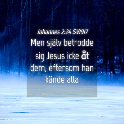 Picture 04 - Johannes 2:24 SV1917 - Men själv betrodde sig Jesus icke åt dem, - Bible Verse Picture