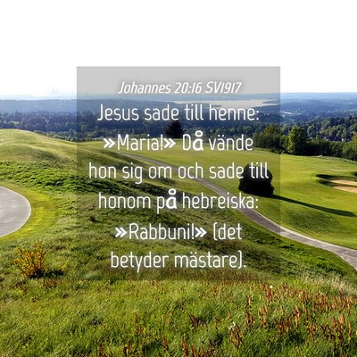 Picture 04 - Johannes 20:16 SV1917 - Jesus sade till henne: »Maria!» Då vände hon - Bible Verse Picture