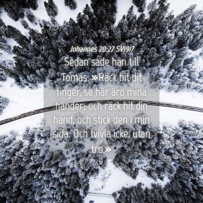 Picture 04 - Johannes 20:27 SV1917 - Sedan sade han till Tomas: »Räck hit dit - Bible Verse Picture