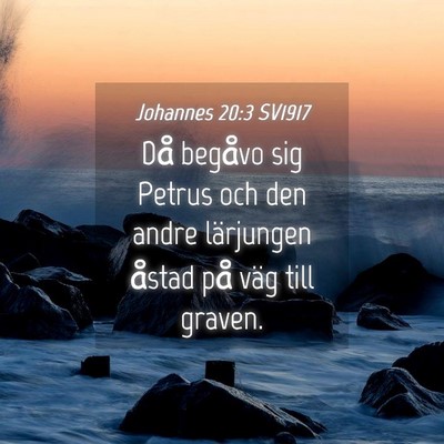 Picture 04 - Johannes 20:3 SV1917 - Då begåvo sig Petrus och den andre lärjungen - Bible Verse Picture