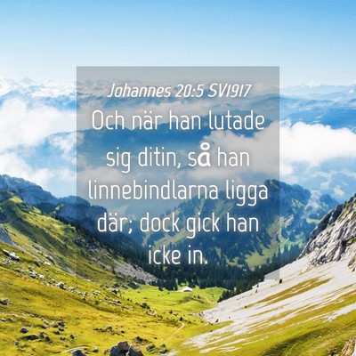 Picture 04 - Johannes 20:5 SV1917 - Och när han lutade sig ditin, så han - Bible Verse Picture