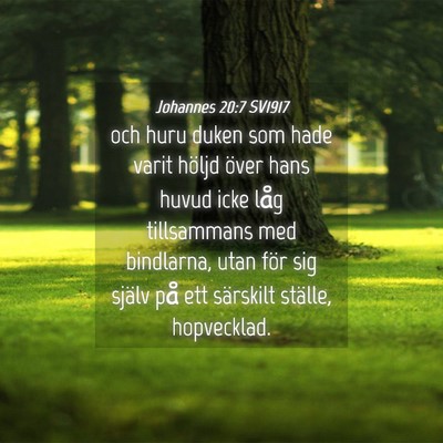 Picture 04 - Johannes 20:7 SV1917 - och huru duken som hade varit höljd över hans - Bible Verse Picture