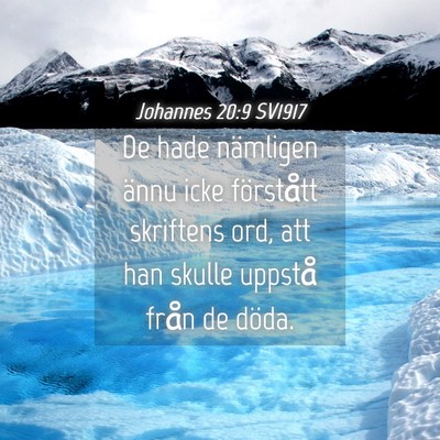 Picture 04 - Johannes 20:9 SV1917 - De hade nämligen ännu icke förstått skriftens - Bible Verse Picture