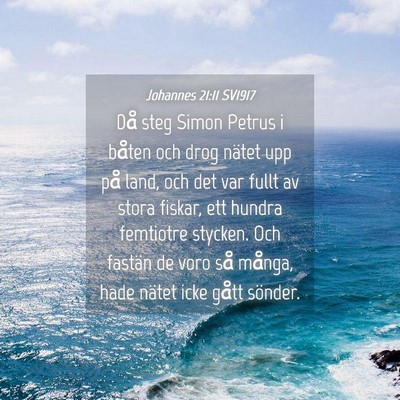 Picture 04 - Johannes 21:11 SV1917 - Då steg Simon Petrus i båten och drog nätet - Bible Verse Picture