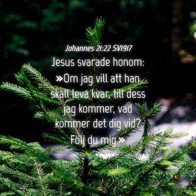 Picture 04 - Johannes 21:22 SV1917 - Jesus svarade honom: »Om jag vill att han skall - Bible Verse Picture